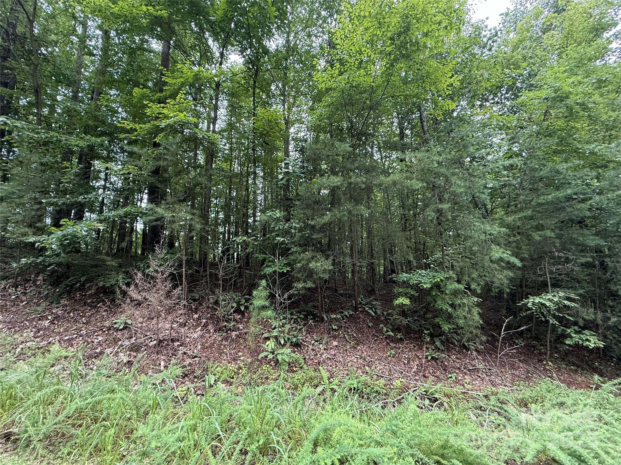 Property image 3 of 0 Woodchuck Lane in Haven Heights, Marion, NC 28752