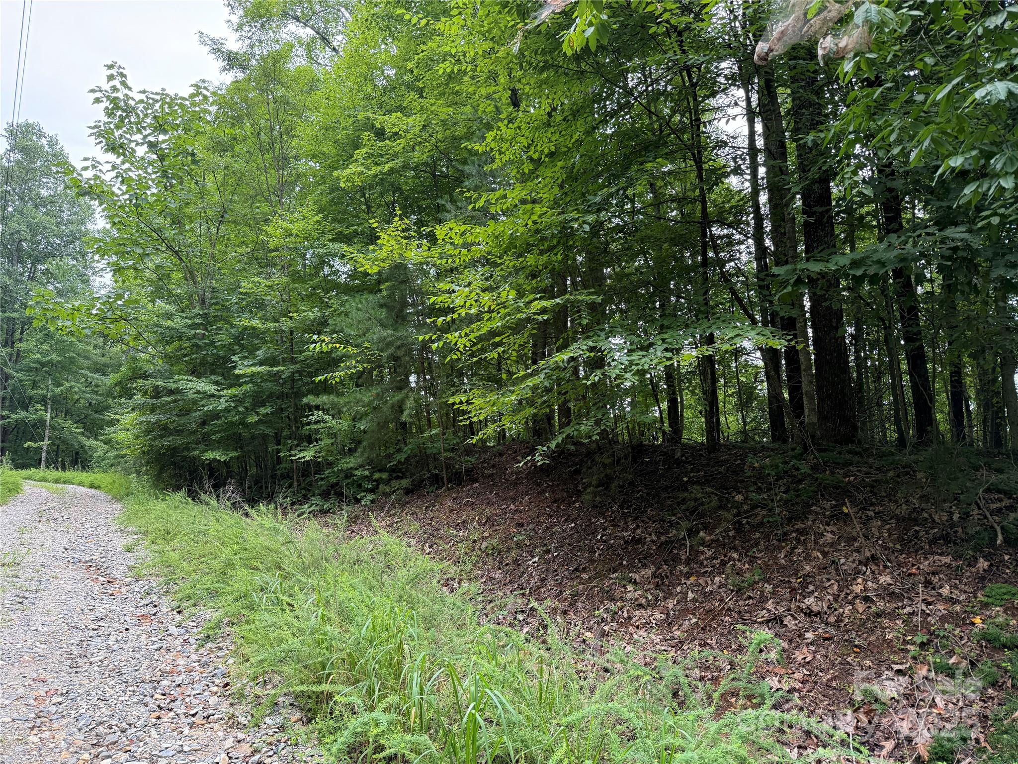 Property image 4 of 0 Woodchuck Lane in Haven Heights, Marion, NC 28752