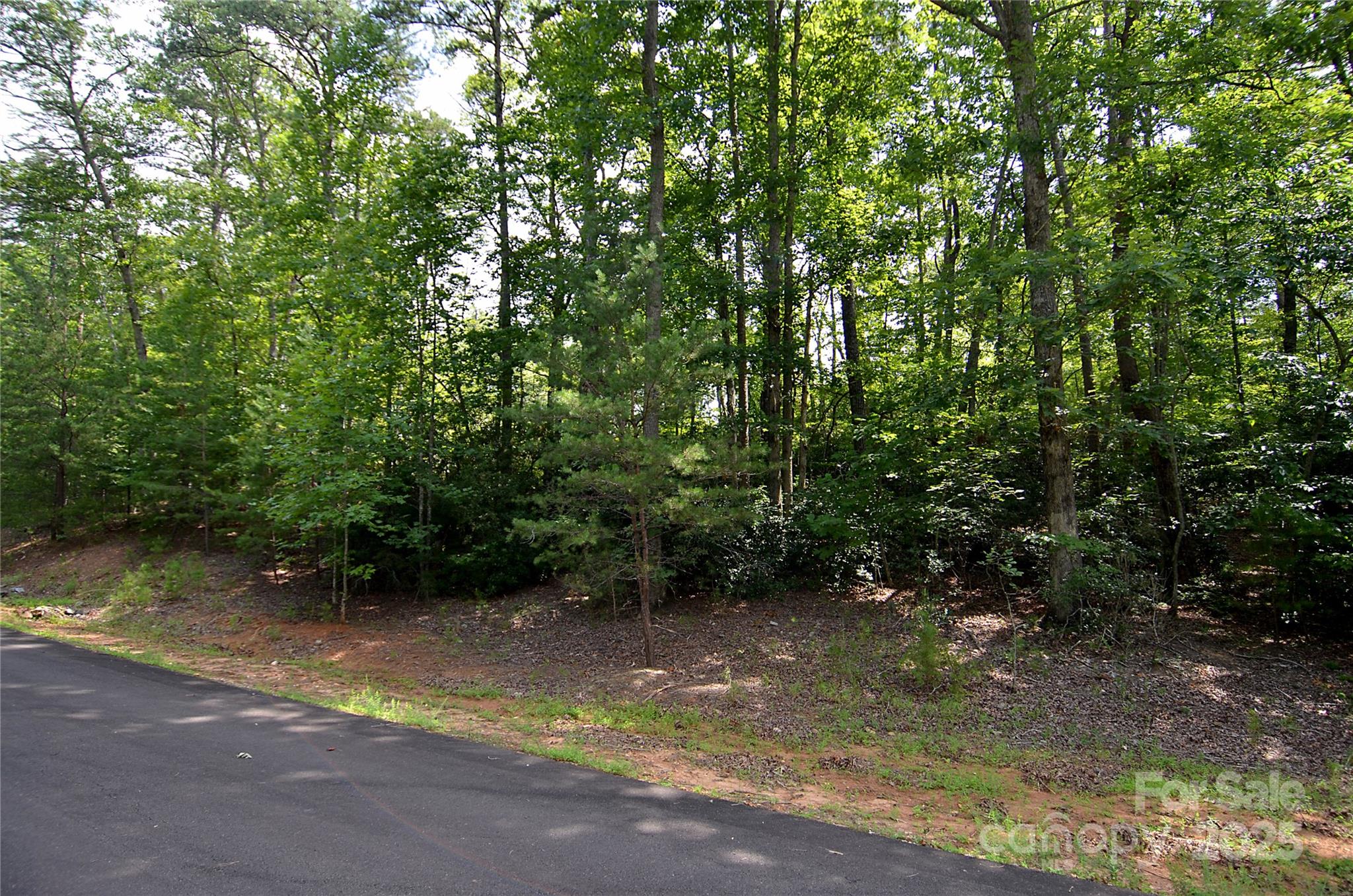 Property image 2 of 00 Ravenswood Drive in Forest Heights, Marion, NC 28752