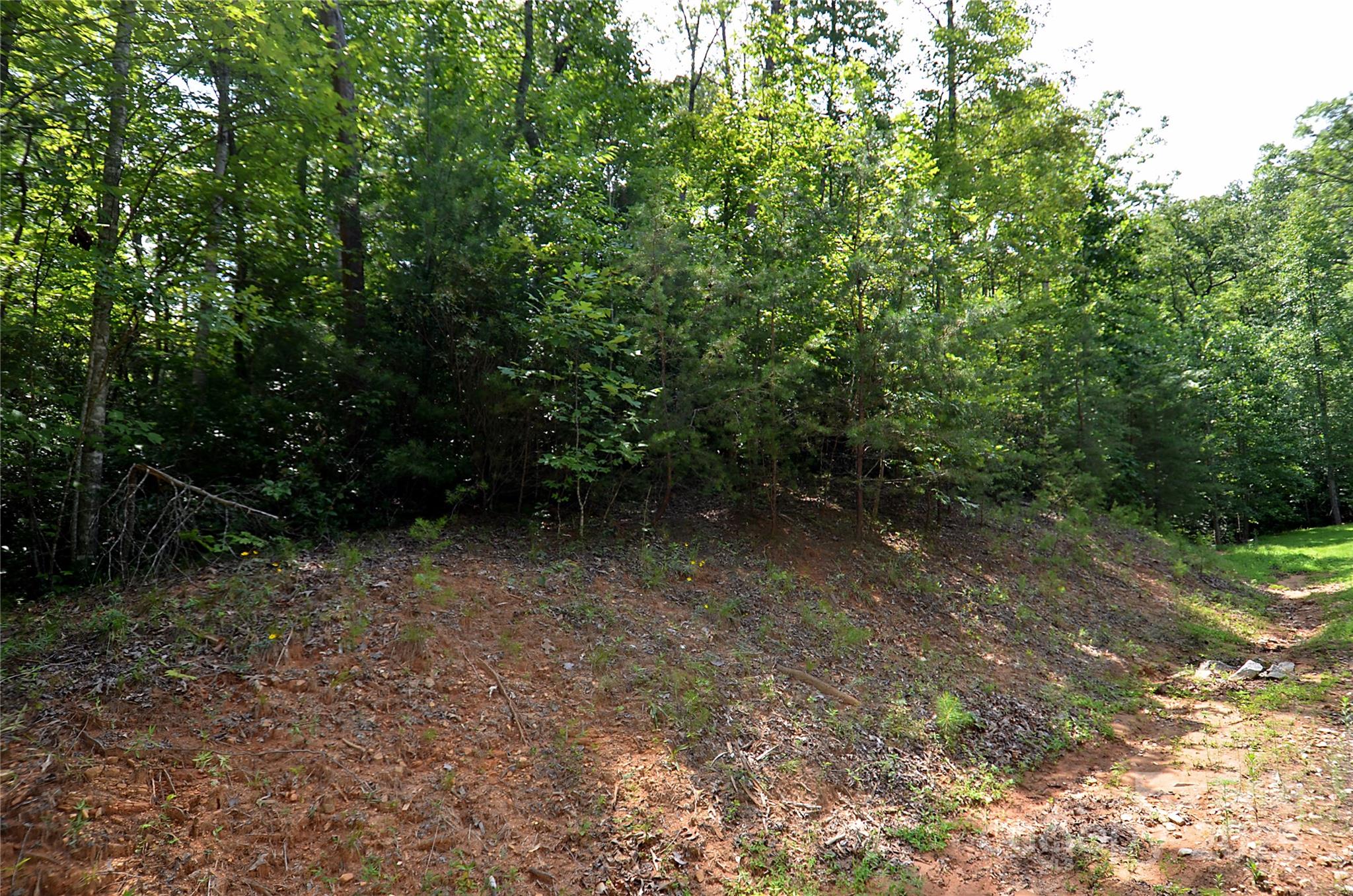 Property image 4 of 00 Ravenswood Drive in Forest Heights, Marion, NC 28752