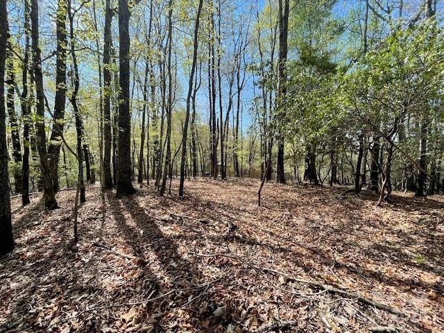 Property image 2 of U15 L018 Sedi Lane in Connestee Falls, Brevard, NC 28712