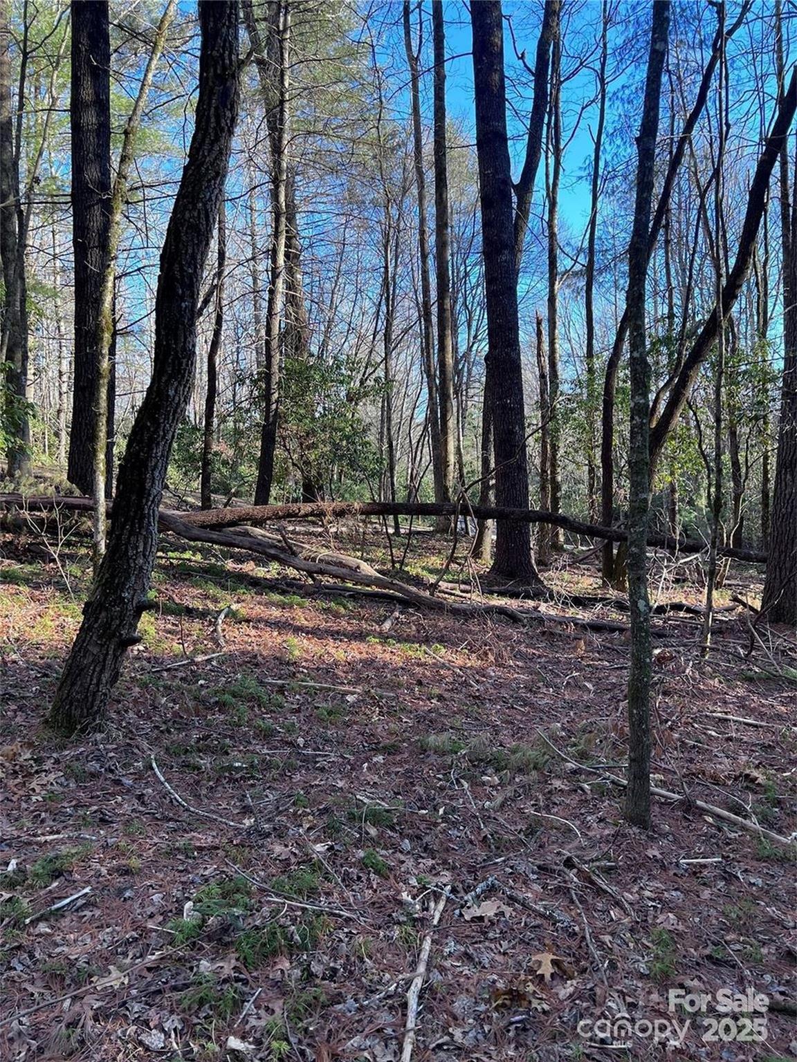 Property image 2 of L72 Salola Lane in Connestee Falls, Brevard, NC 28712