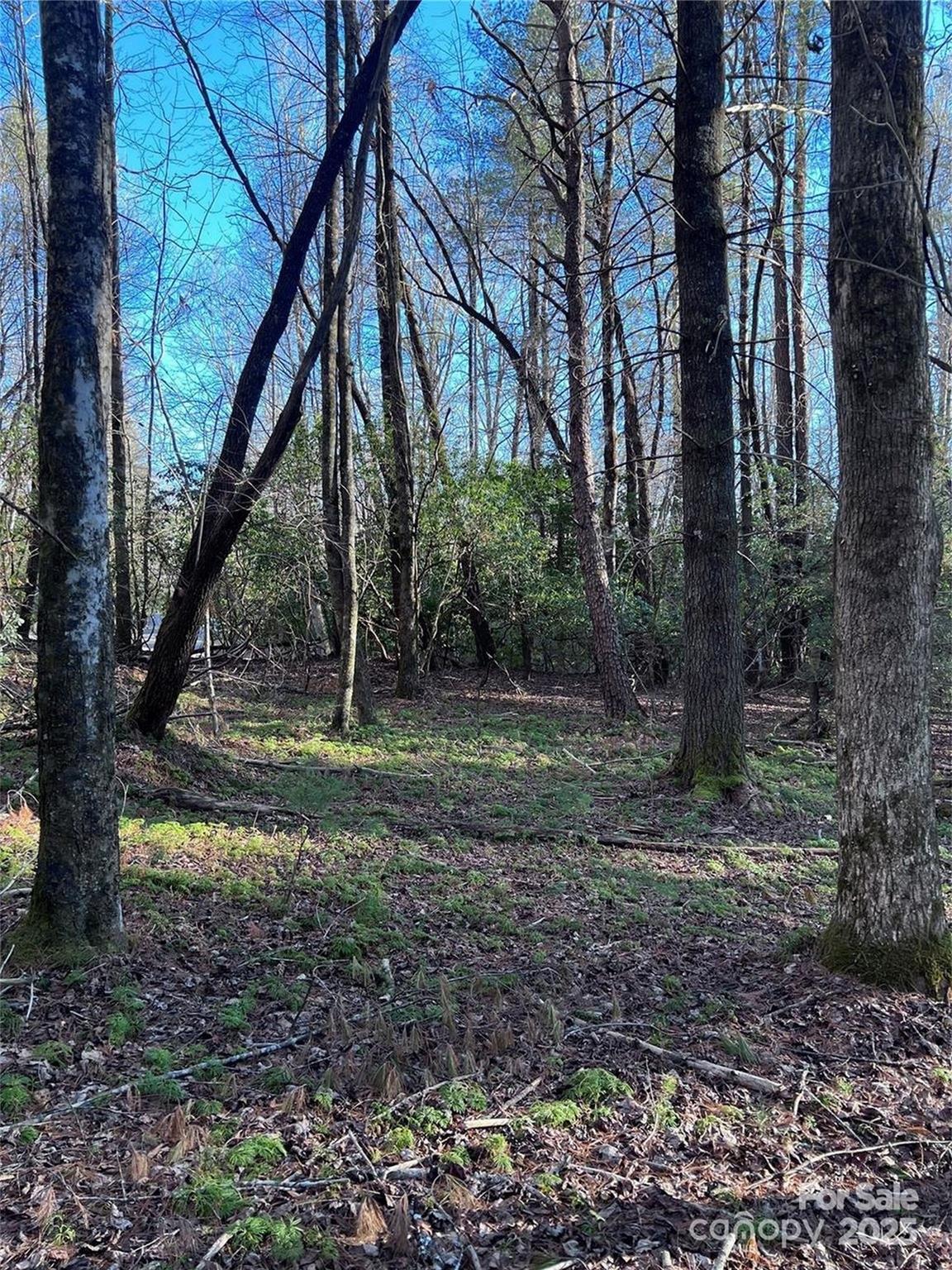 Property image 4 of L72 Salola Lane in Connestee Falls, Brevard, NC 28712