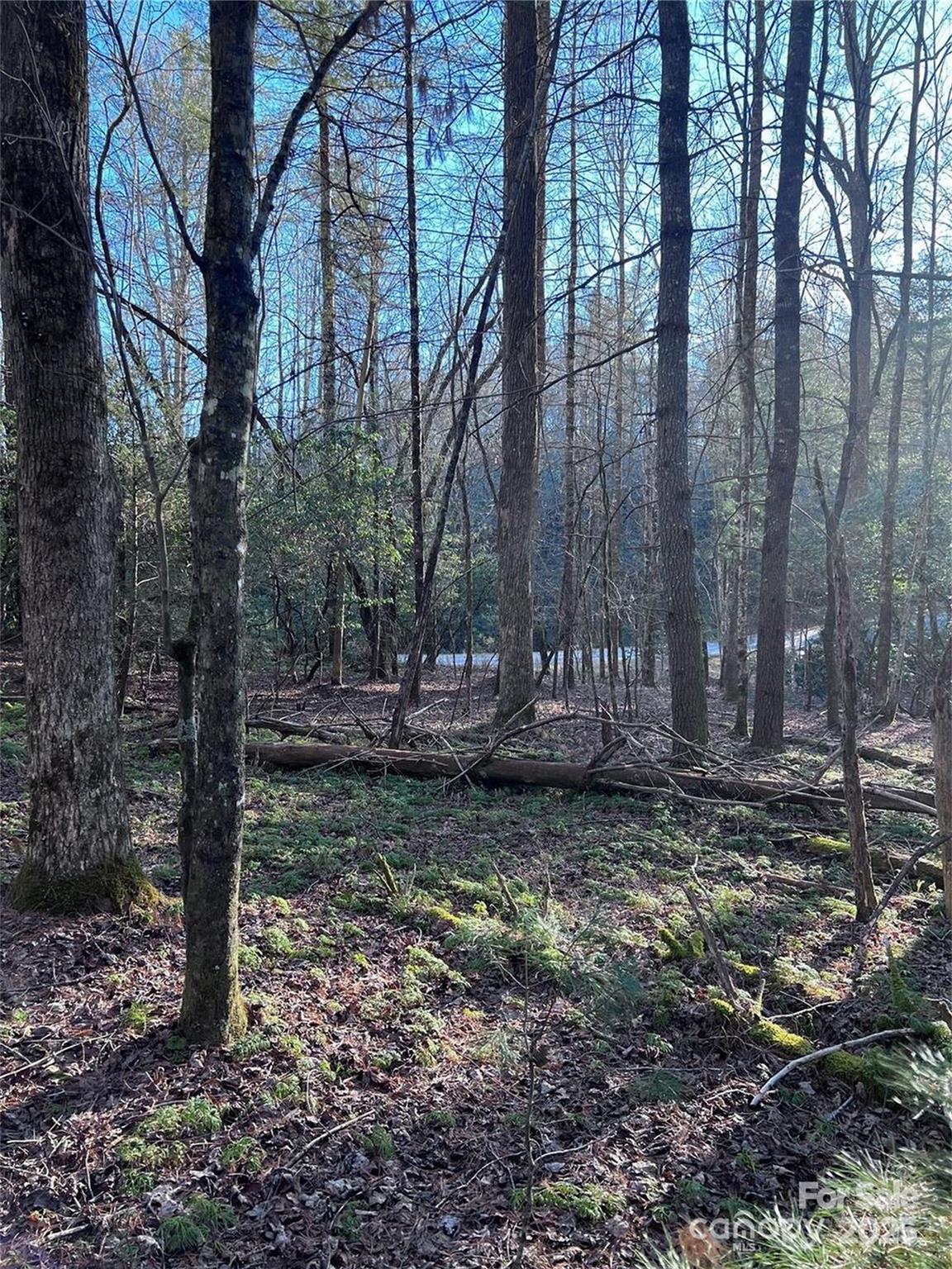 Property image 5 of L72 Salola Lane in Connestee Falls, Brevard, NC 28712