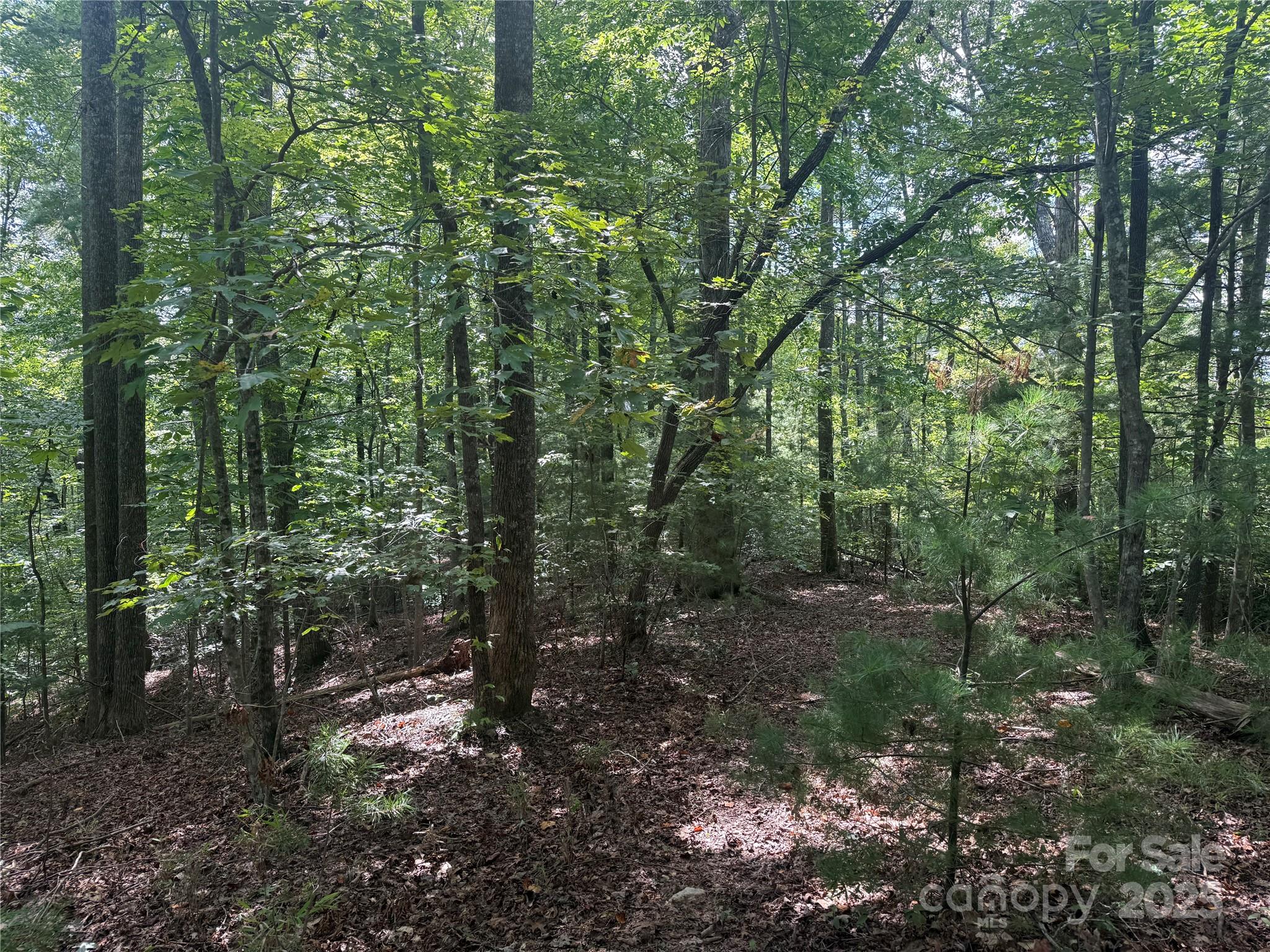 Property image 3 of Tbd Forest Country Drive in Forest Heights, Marion, NC 28752