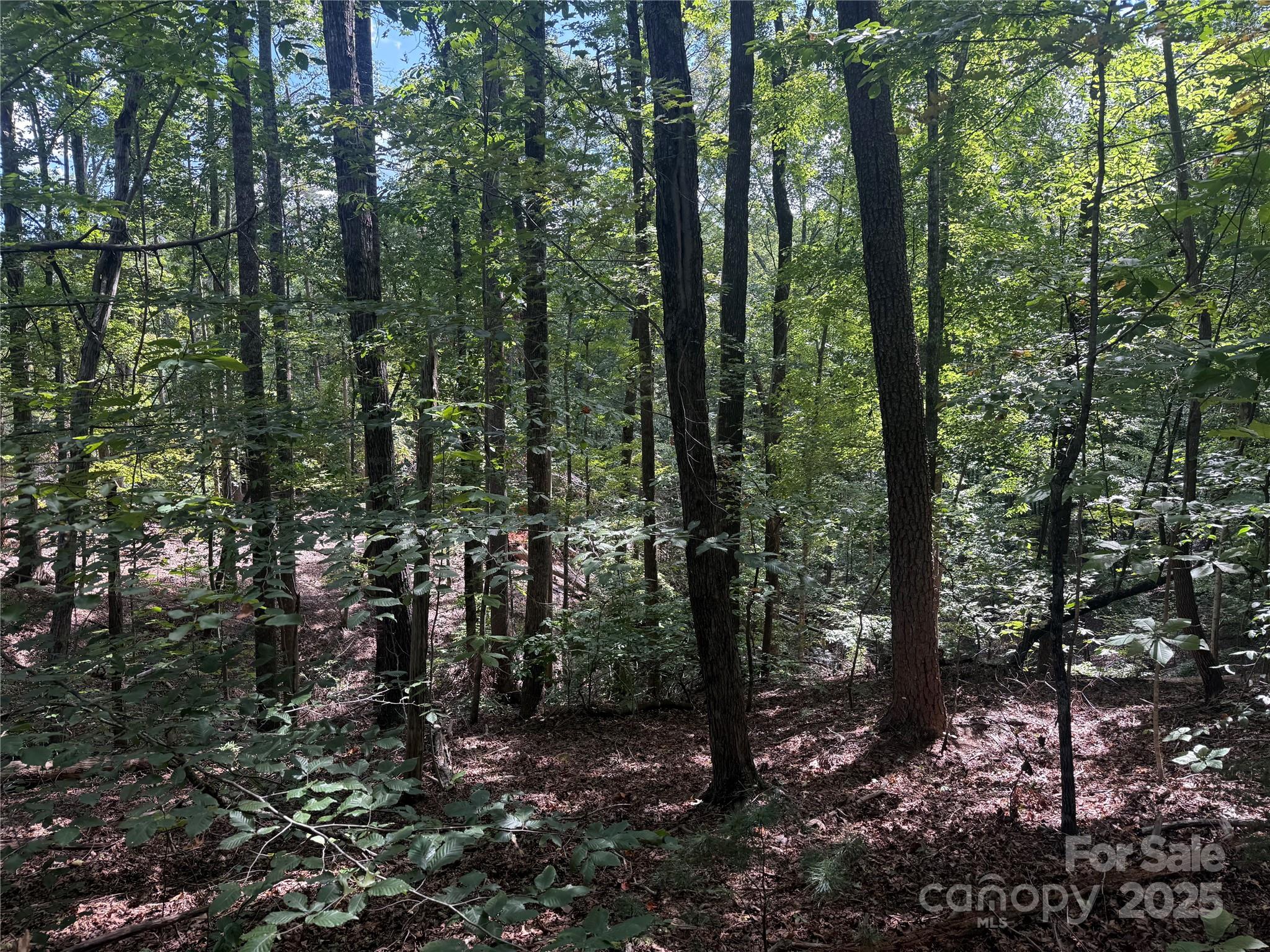 Property image 5 of Tbd Forest Country Drive in Forest Heights, Marion, NC 28752