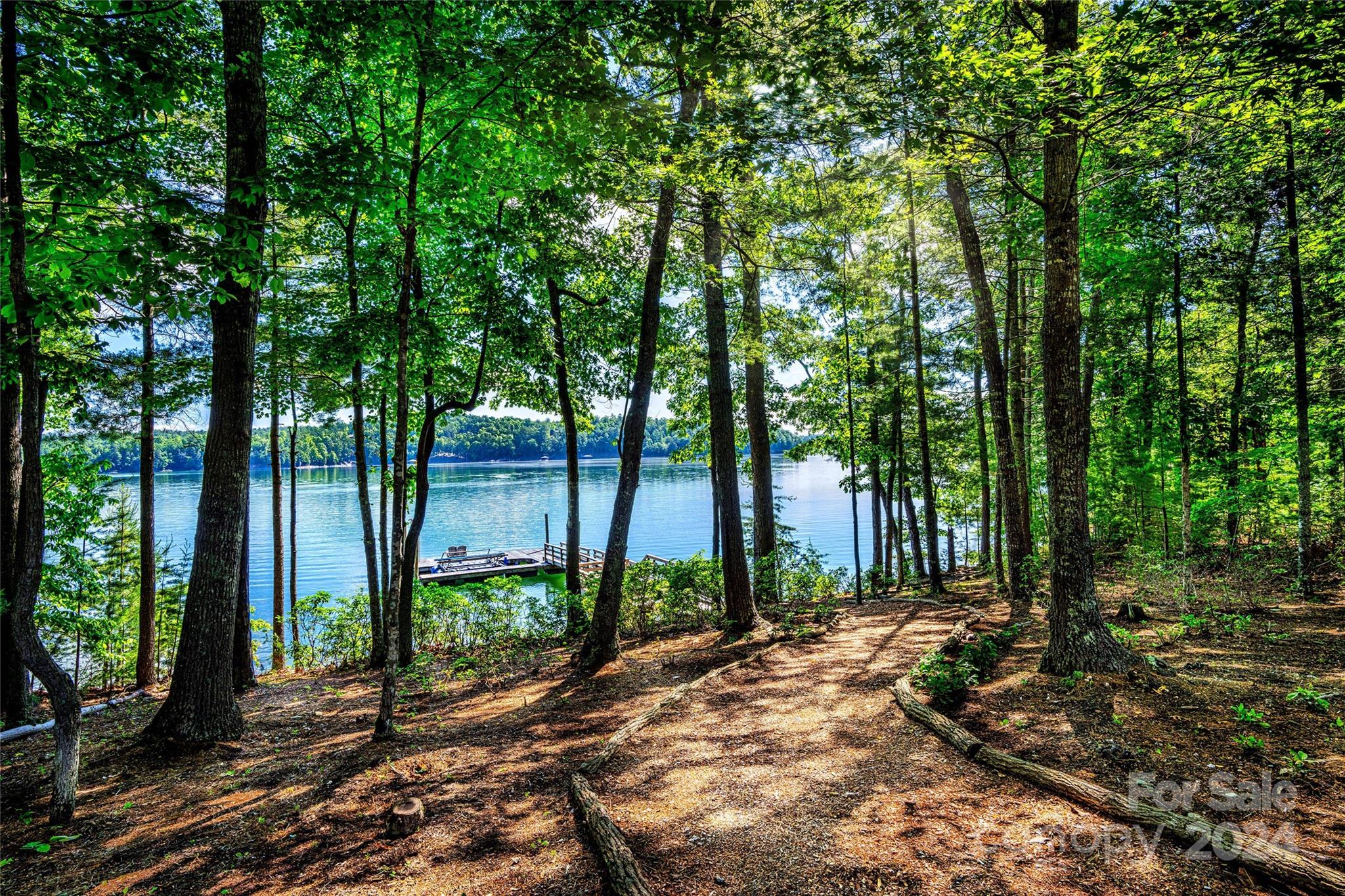 Property image 3 of 433 Turtle Head Drive in Old Wildlife Club, Nebo, NC 28761