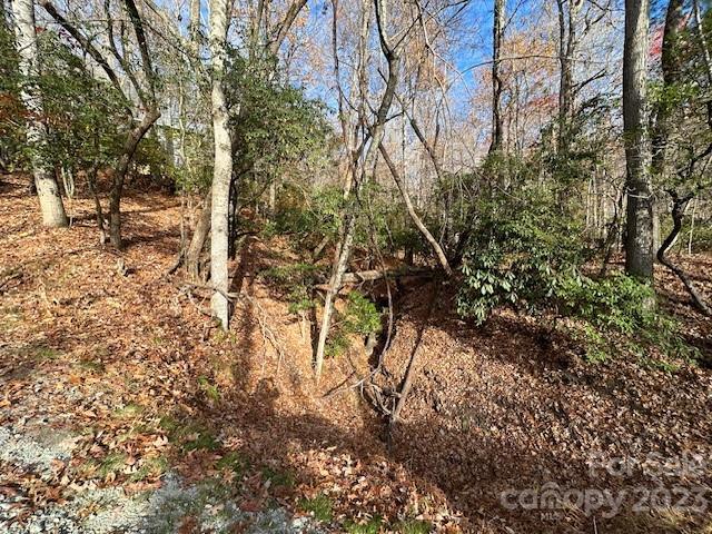 Property image 2 of Tbd Echota Lane in Connestee Falls, Brevard, NC 28712