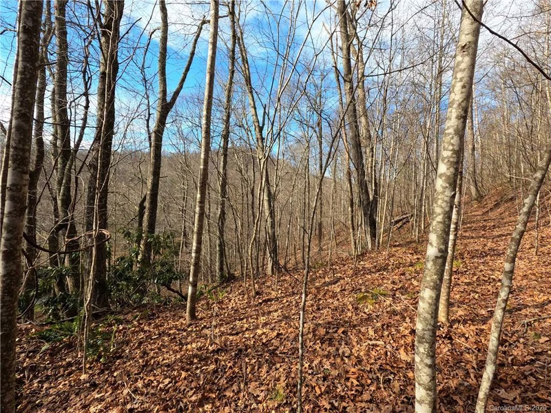 Property image 4 at 00 Golden Trout Drive, Spruce Pine, NC 28777