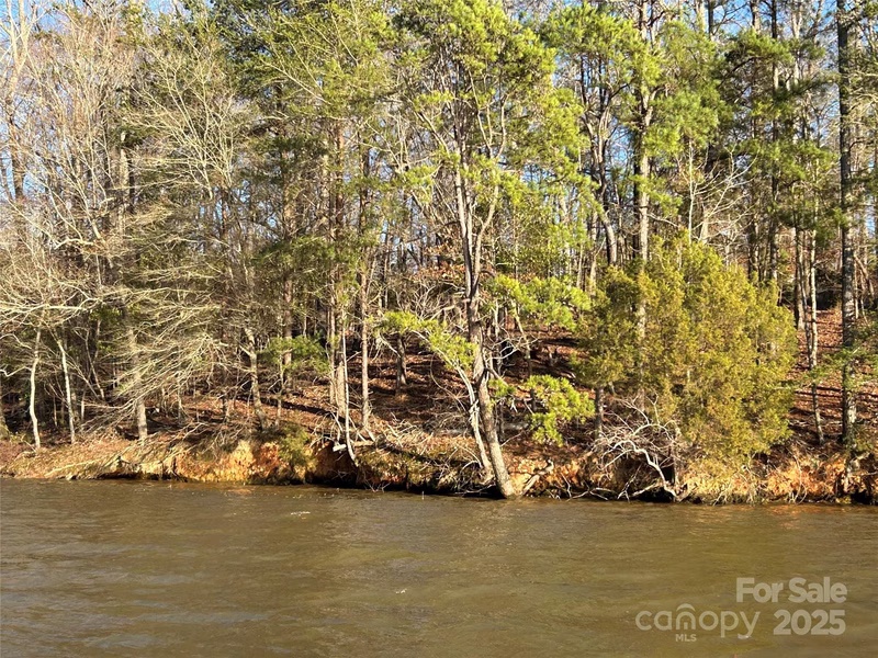 Property image 2 at 0 Forest Lake Court, Mount Gilead, NC 27306