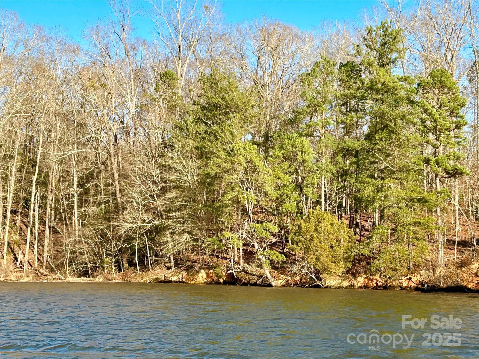 Property image 1 at 0 Forest Lake Court, Mount Gilead, NC 27306