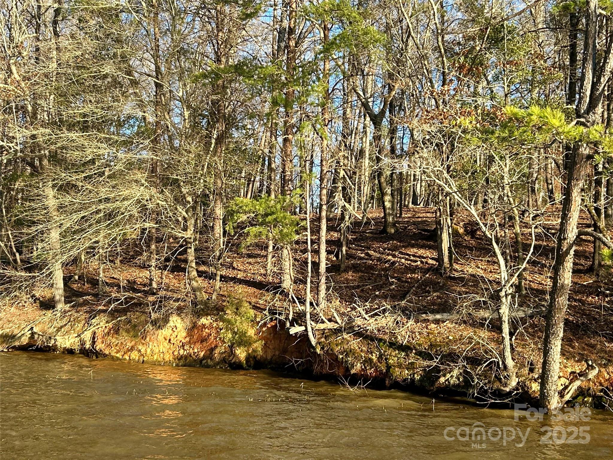 Property image 3 of 0 Forest Lake Court in Swift Island Plantation, Mount Gilead, NC 27306