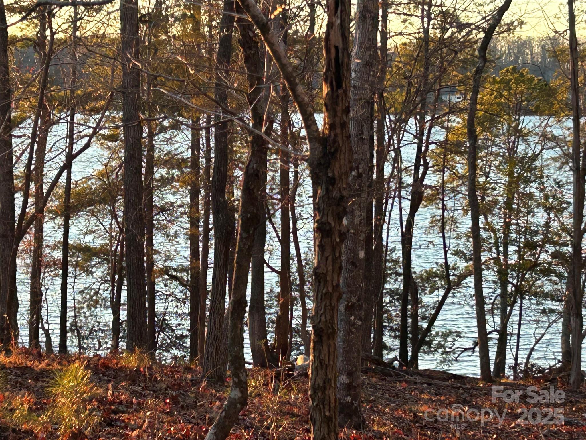 Property image 4 of 0 Forest Lake Court in Swift Island Plantation, Mount Gilead, NC 27306