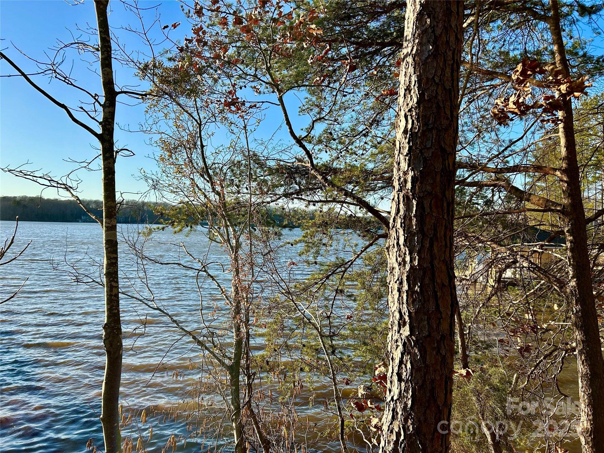 Property image 5 of 0 Forest Lake Court in Swift Island Plantation, Mount Gilead, NC 27306