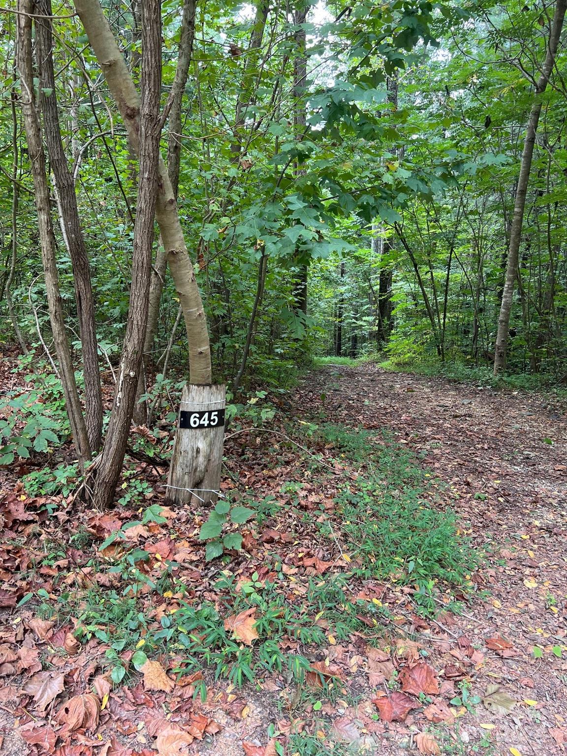 Property image 2 of 645 Tunnel Road in Haven Heights, Marion, NC 28752