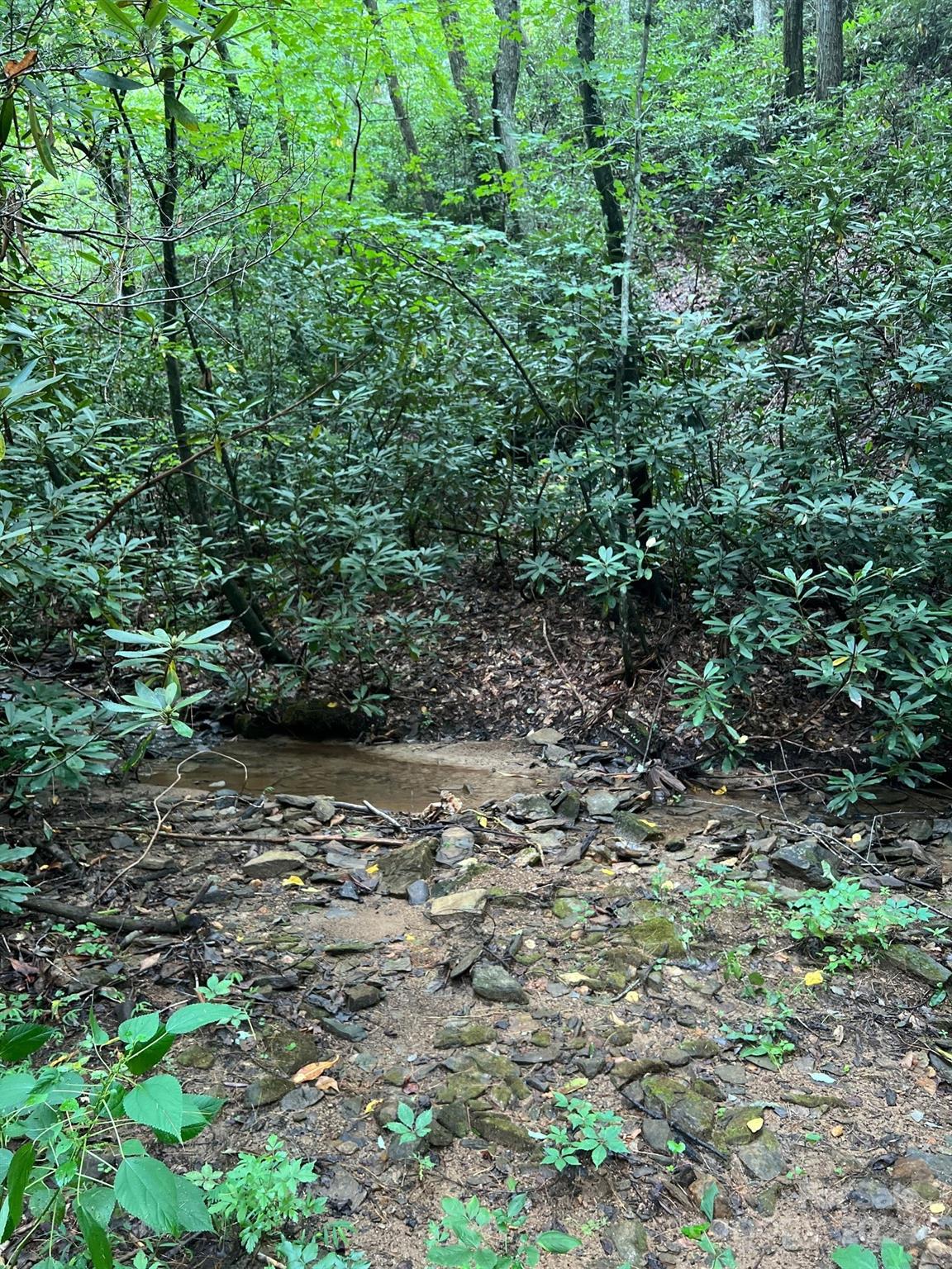 Property image 3 of 645 Tunnel Road in Haven Heights, Marion, NC 28752