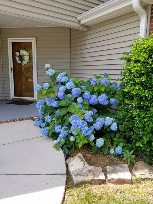 Property image 2 at 201 Oak Village Parkway, Mooresville, NC 28117