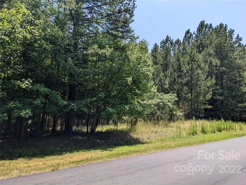 Property image 3 at 223 Plantation Way, Mount Gilead, NC 27306