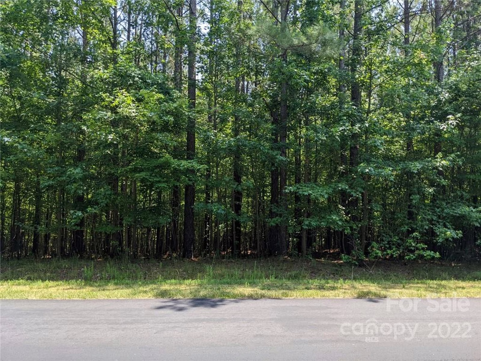 Property image 1 at 223 Plantation Way, Mount Gilead, NC 27306