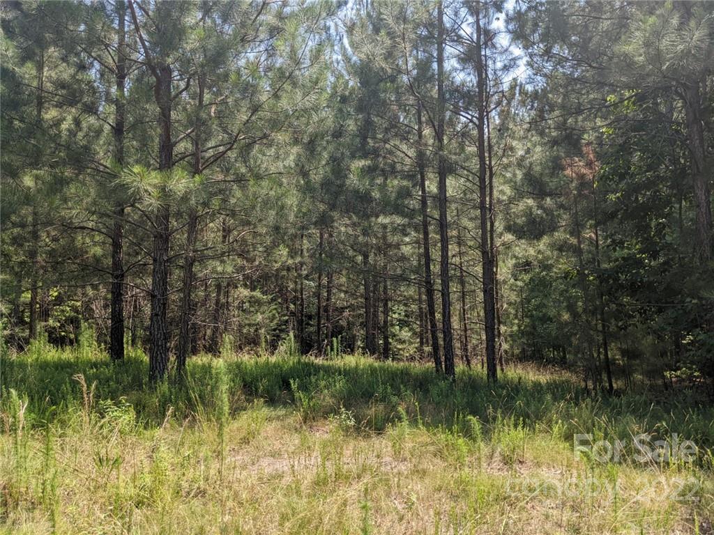 Property image 4 of 223 Plantation Way in Swift Island Plantation, Mount Gilead, NC 27306