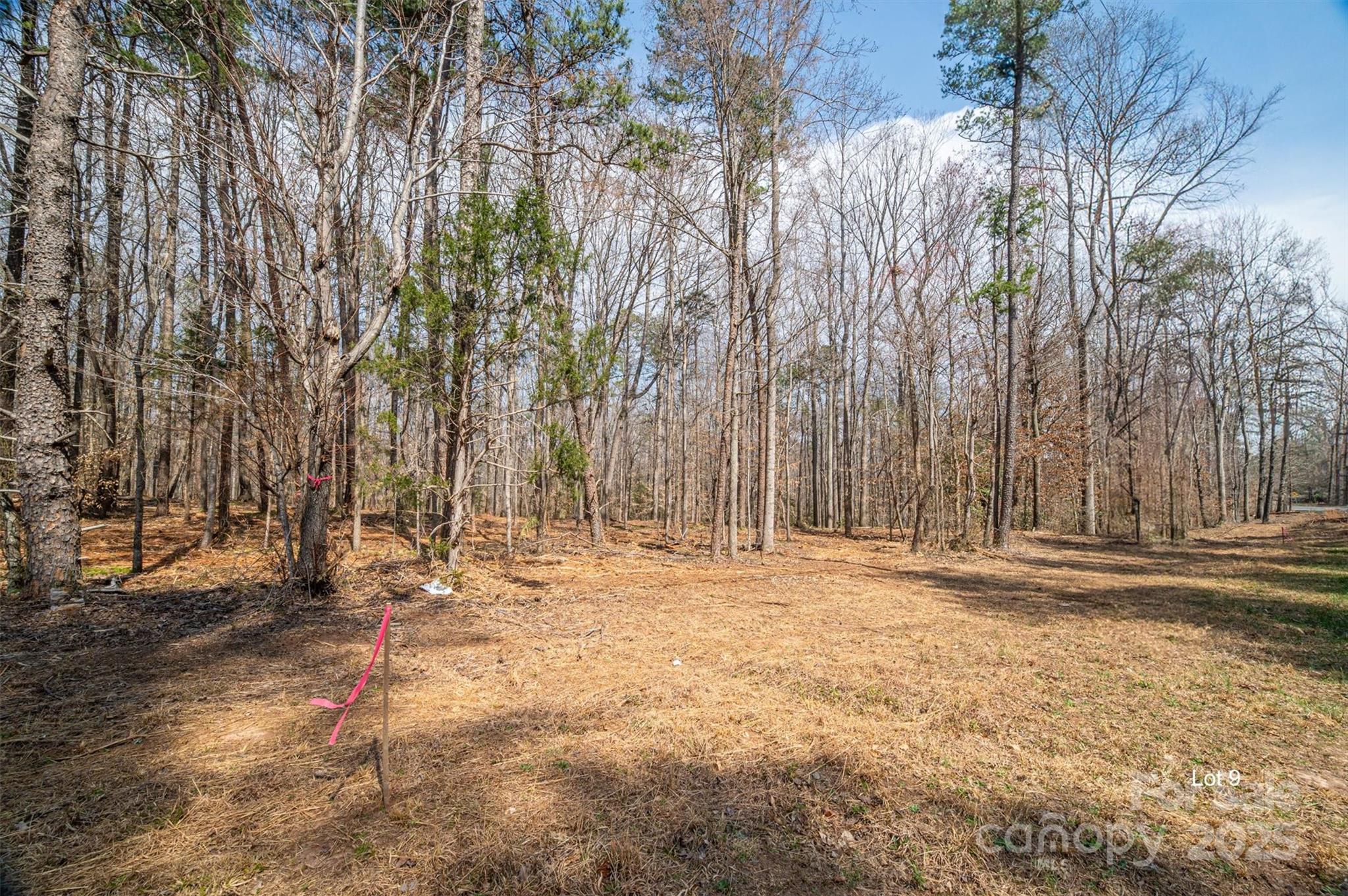 Property image 3 of 00 Forney Hill Road in The Oaks at Forney Hill, Denver, NC 28037