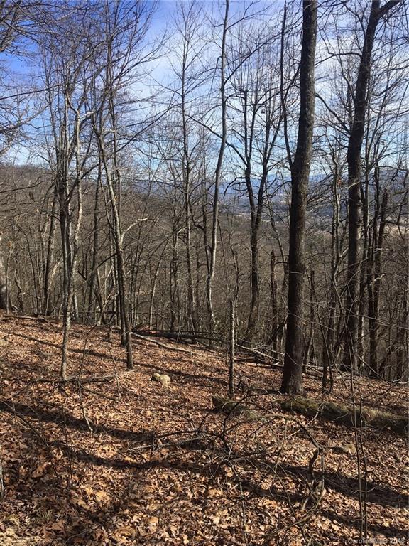Property image 4 of 95 Bobcat Lair Drive in Forge Mountain Acres, Mills River, NC 28759