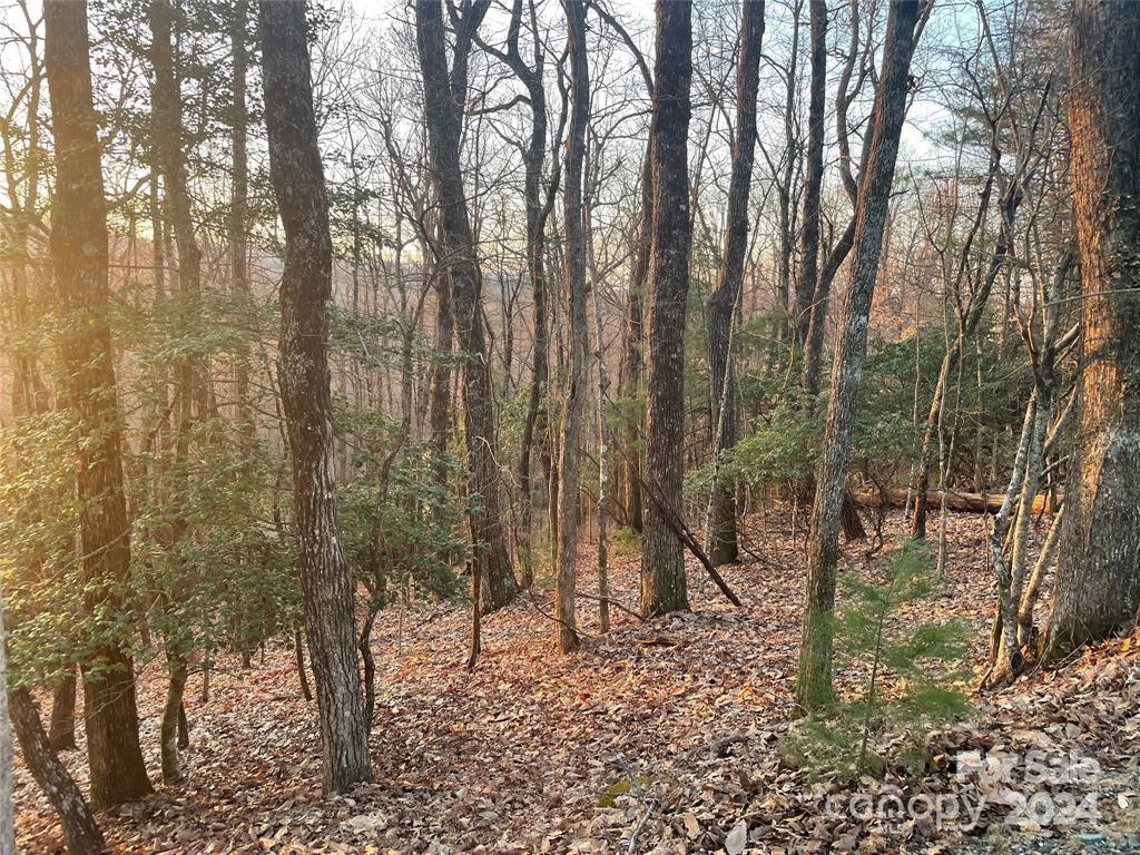Property image 3 of Tbd Connestee Trail in Connestee Falls, Brevard, NC 28712