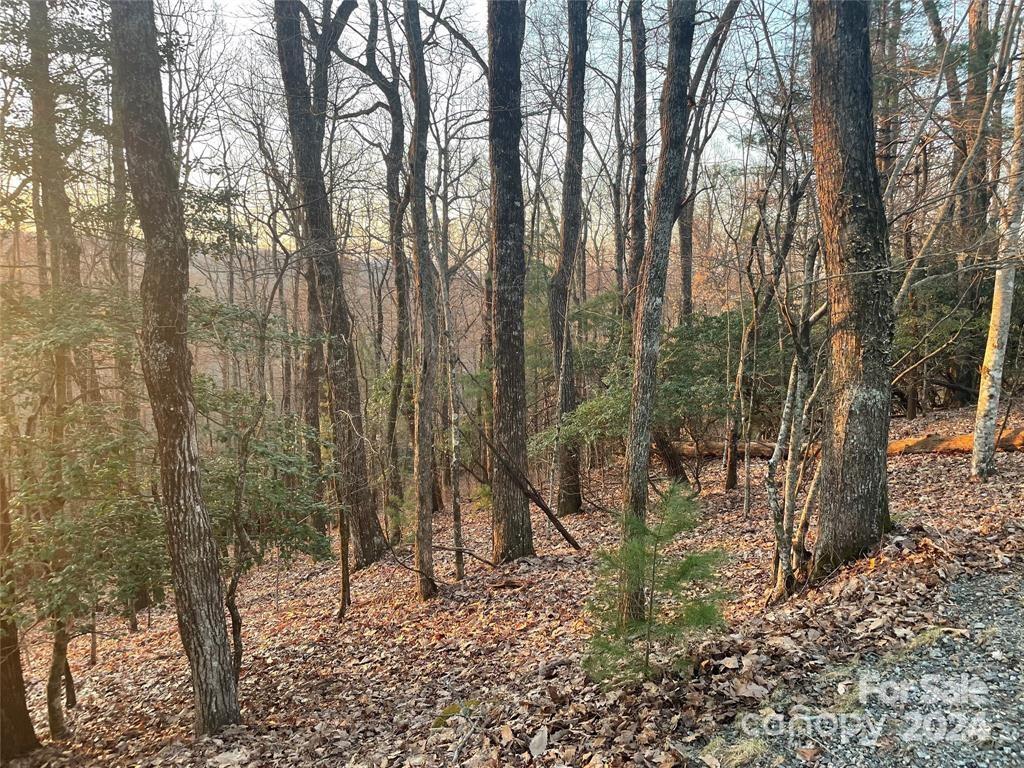 Property image 5 of Tbd Connestee Trail in Connestee Falls, Brevard, NC 28712