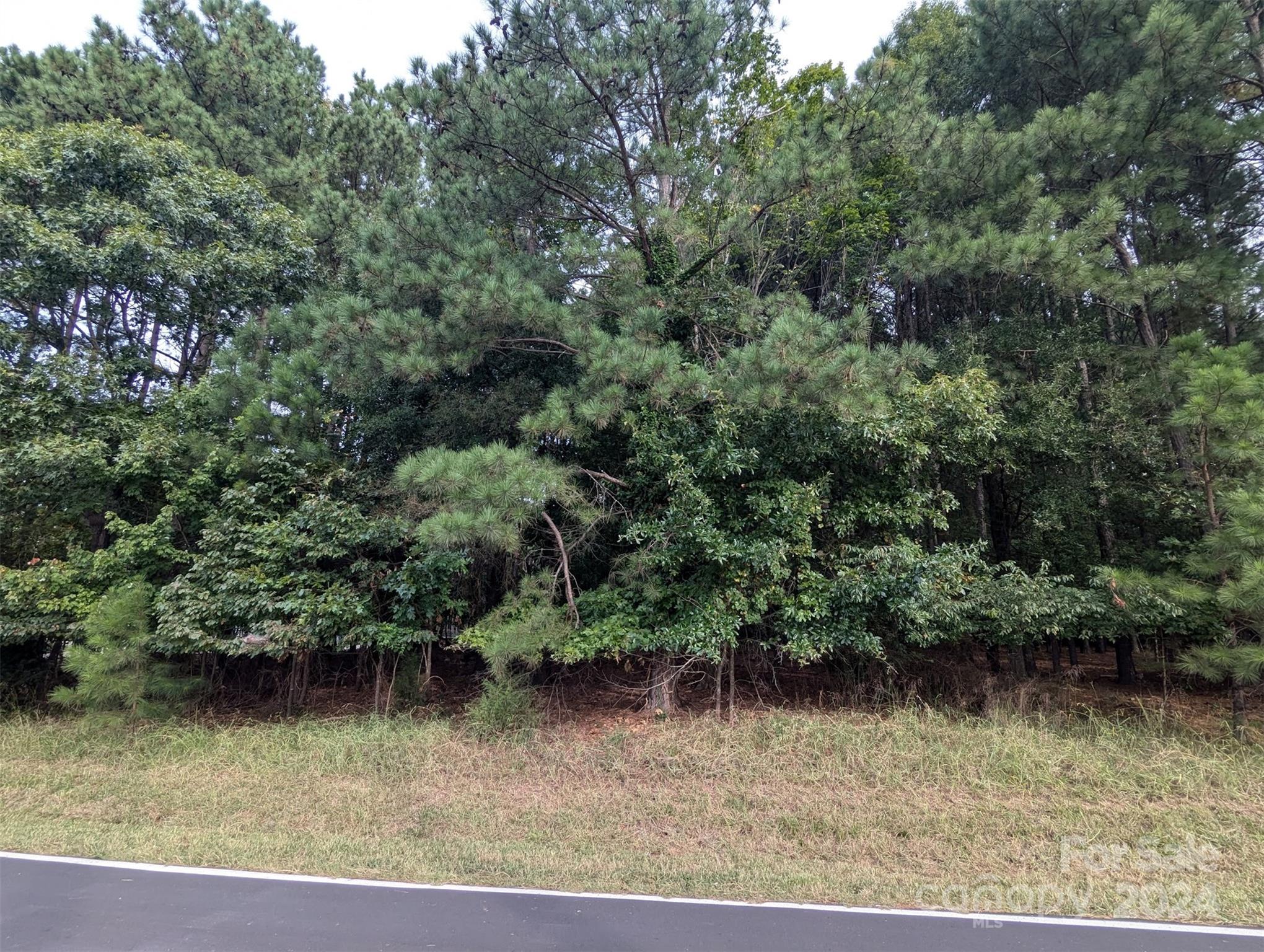 Property image 3 of 612 Kenway Loop in Fernleaf, Mooresville, NC 28117