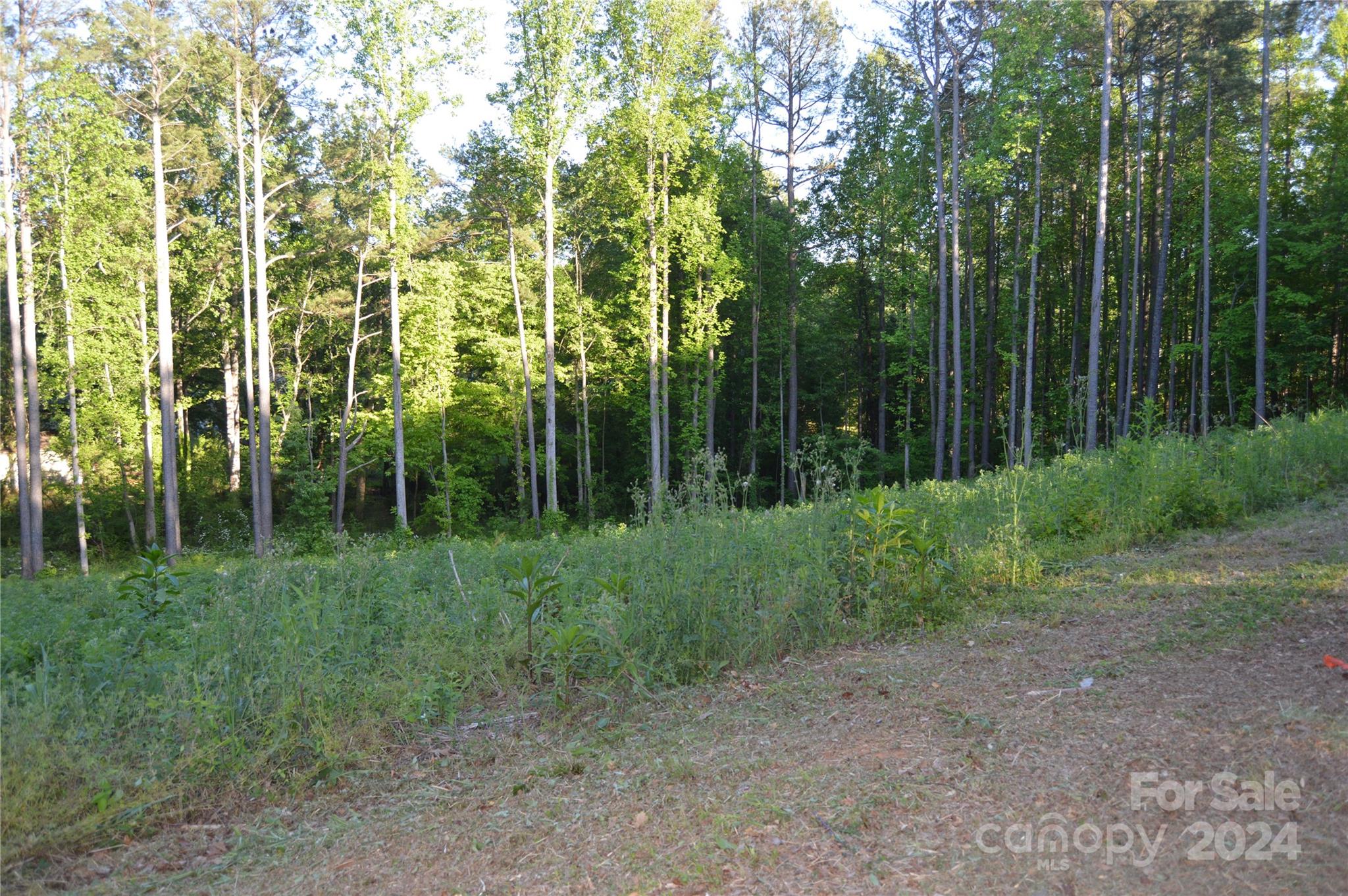 Property image 5 of 1116 1104 Kensington Circle in Nottingham Estates, Newton, NC 28658