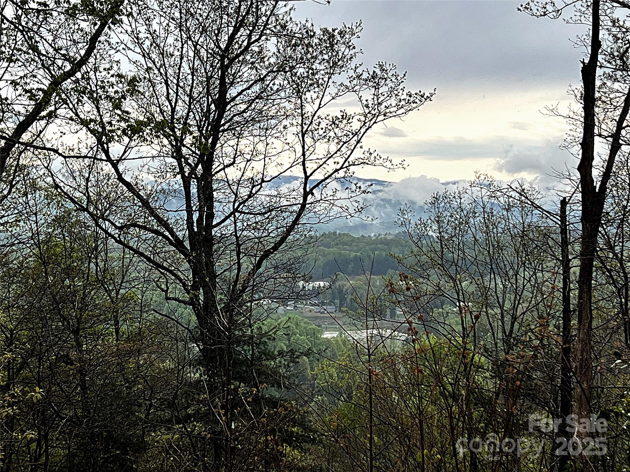 Property image 3 of 00 Scenic View Drive in Haven Heights, Marion, NC 28752