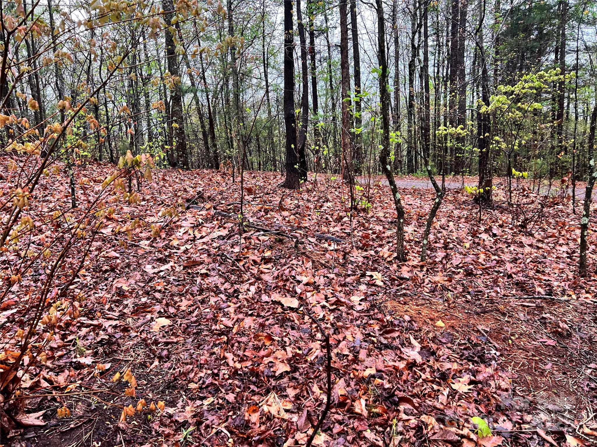 Property image 4 of 00 Scenic View Drive in Haven Heights, Marion, NC 28752