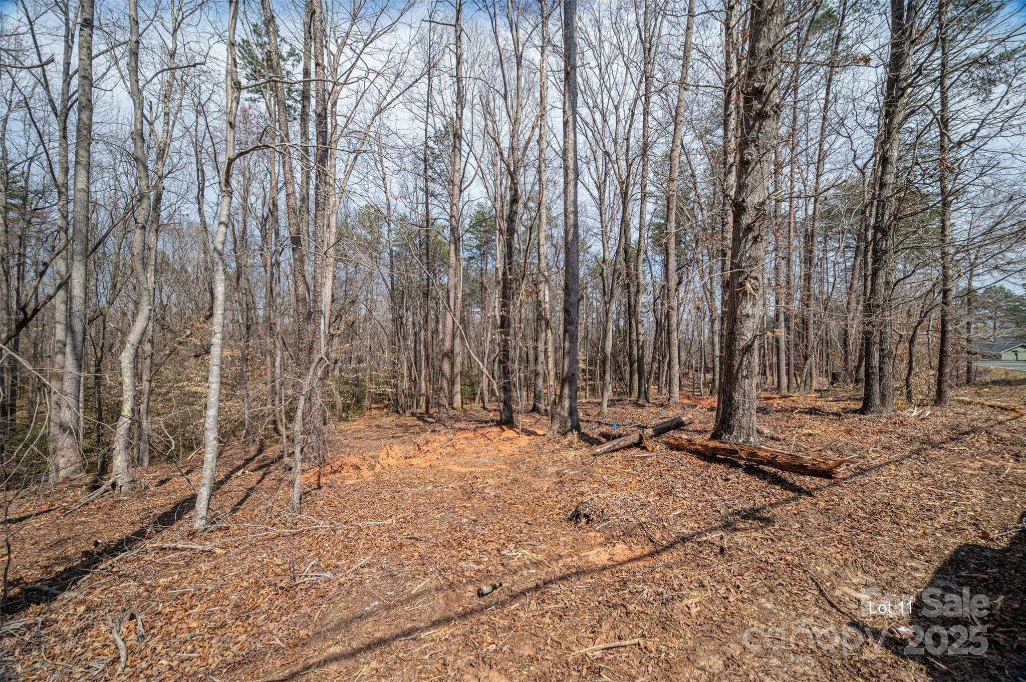 Property image 2 of 00 Forney Hill Road in The Oaks at Forney Hill, Denver, NC 28037