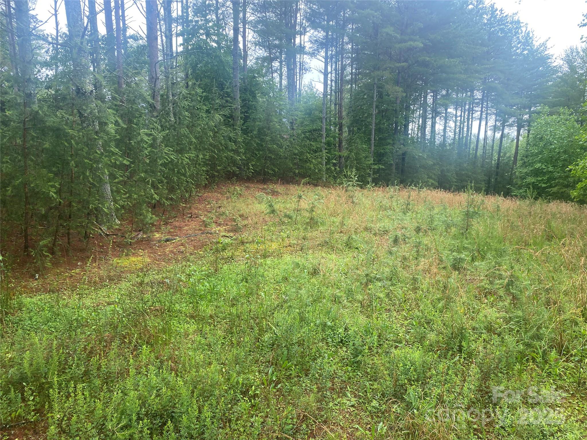 Property image 2 of V L Hunt Camp Drive in Old Wildlife Club, Nebo, NC 28761