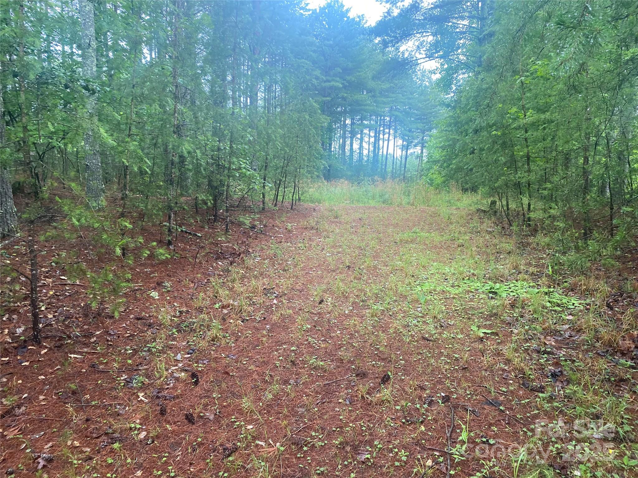 Property image 3 of V L Hunt Camp Drive in Old Wildlife Club, Nebo, NC 28761