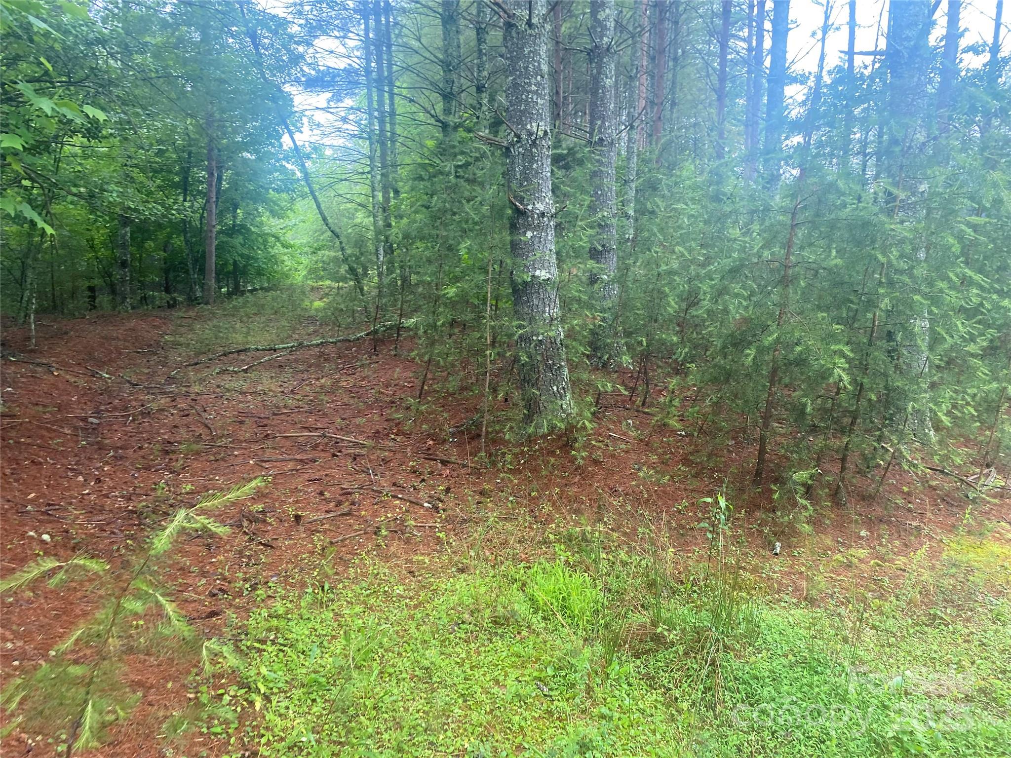 Property image 4 of V L Hunt Camp Drive in Old Wildlife Club, Nebo, NC 28761
