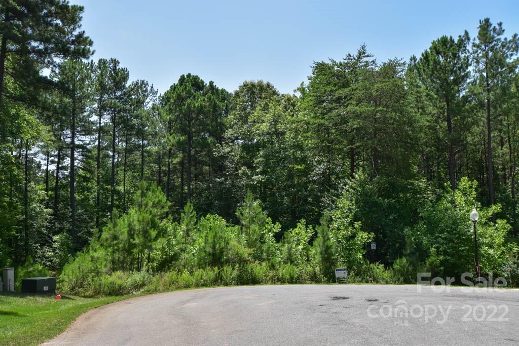 Property image 3 of 139 Trent Pines Drive in Woodleaf, Mooresville, NC 28117