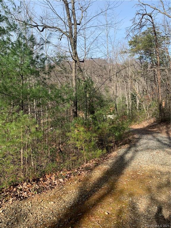 Property image 3 of 00 Highland Meadows Way in Highland Meadows, Lenoir, NC 28645