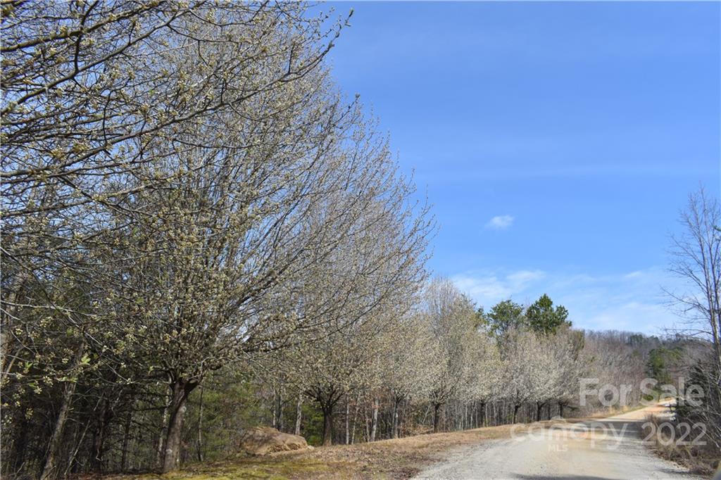 Property image 5 of 000 Old Highway 221 Highway in Glenhaven, Marion, NC 28752