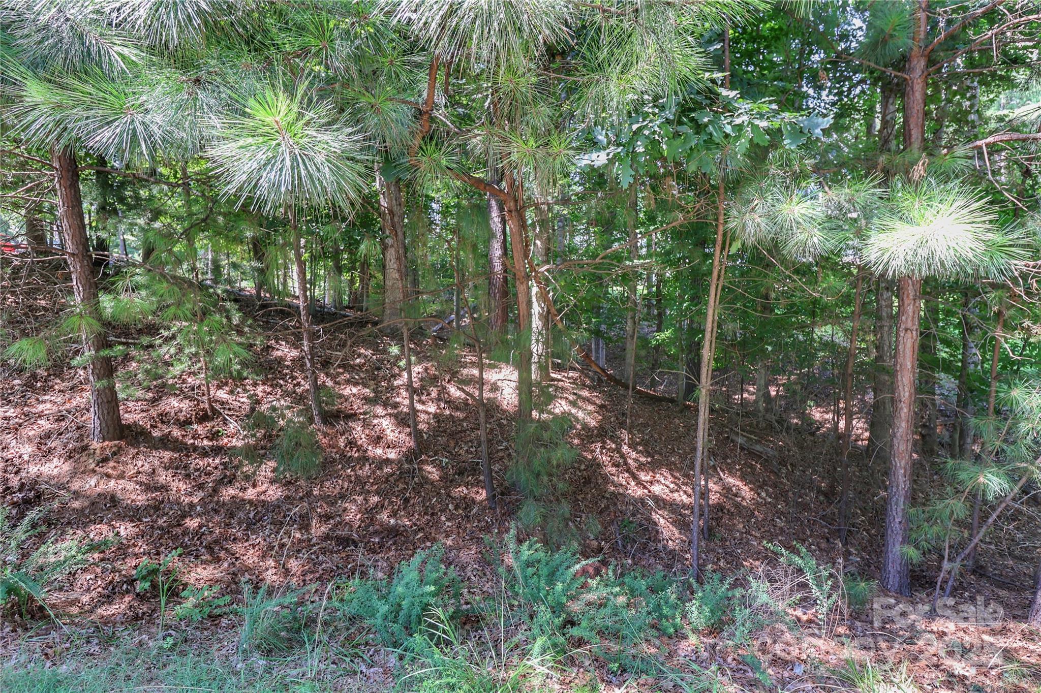 Property image 4 of 496 Kenway Loop in Woodleaf, Mooresville, NC 28117