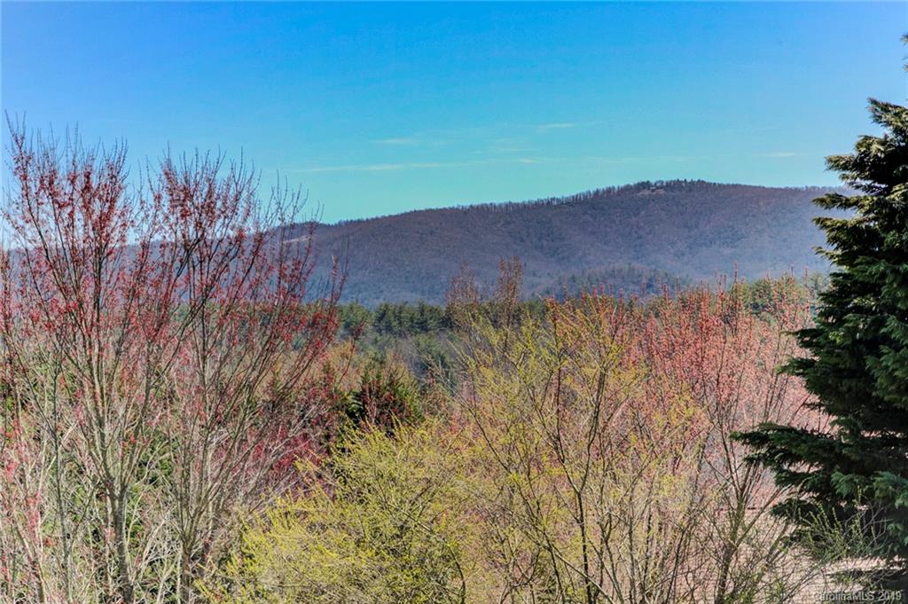 Property image 3 of 2010 Holly Tree Hill in Sugar Hollow Farms, Hendersonville, NC 28739