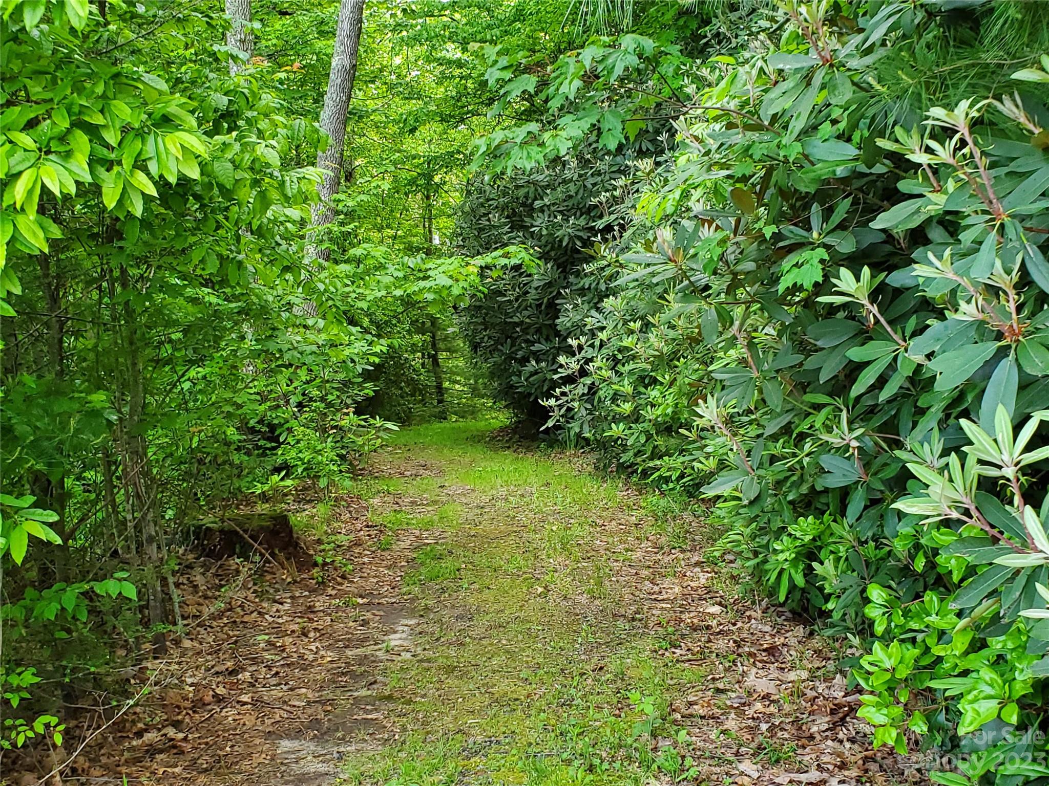 Property image 3 of 2349 Pisgah Forest Drive in Pisgah Forest Farms, Pisgah Forest, NC 28768