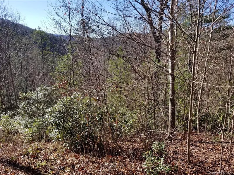 Property image 2 at Lot 7 Laurel Hollow Road, Spruce Pine, NC 28777