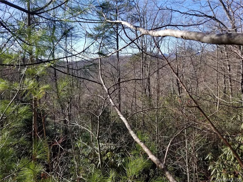 Property image 5 at Lot 7 Laurel Hollow Road, Spruce Pine, NC 28777