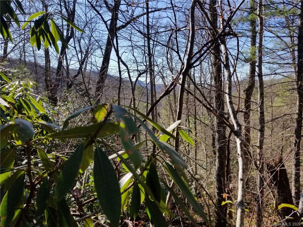 Property image 3 of Lot 7 Laurel Hollow Road in Alpine Mountain, Spruce Pine, NC 28777