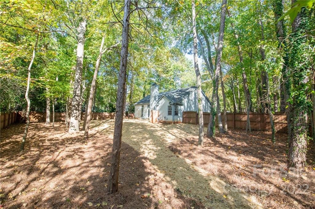 Property image 4 of 202 Aurora Lane in Shepherds Vineyard, Huntersville, NC 28078