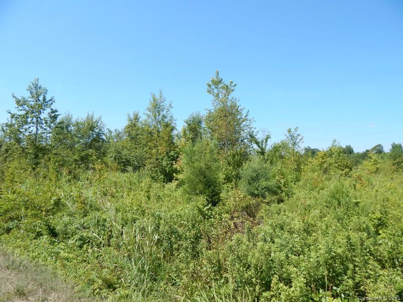 345 Barnwood Drive