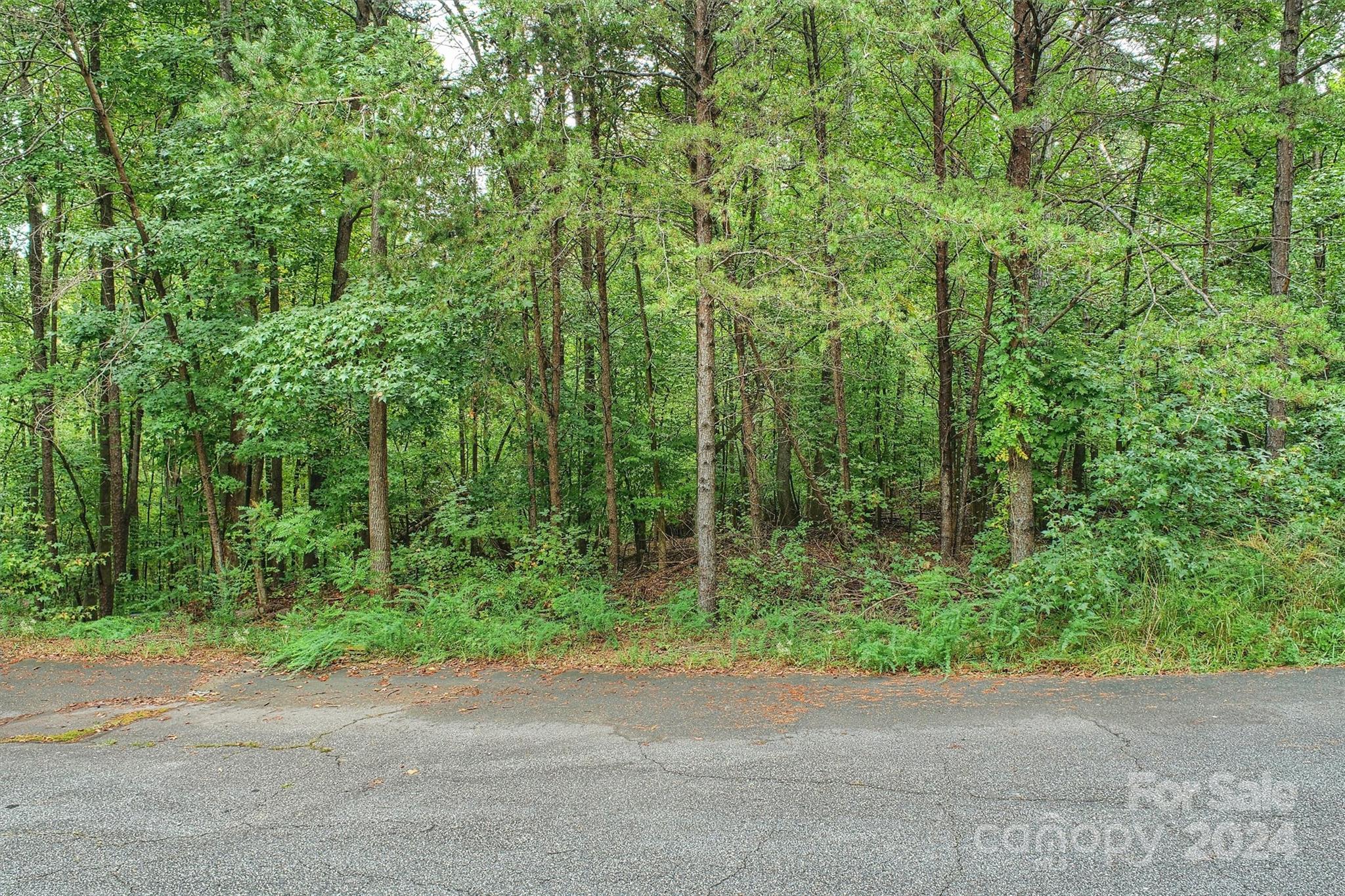 Property image 2 of 105 Ridgebrook Drive in Brookridge Shores, Mooresville, NC 28117