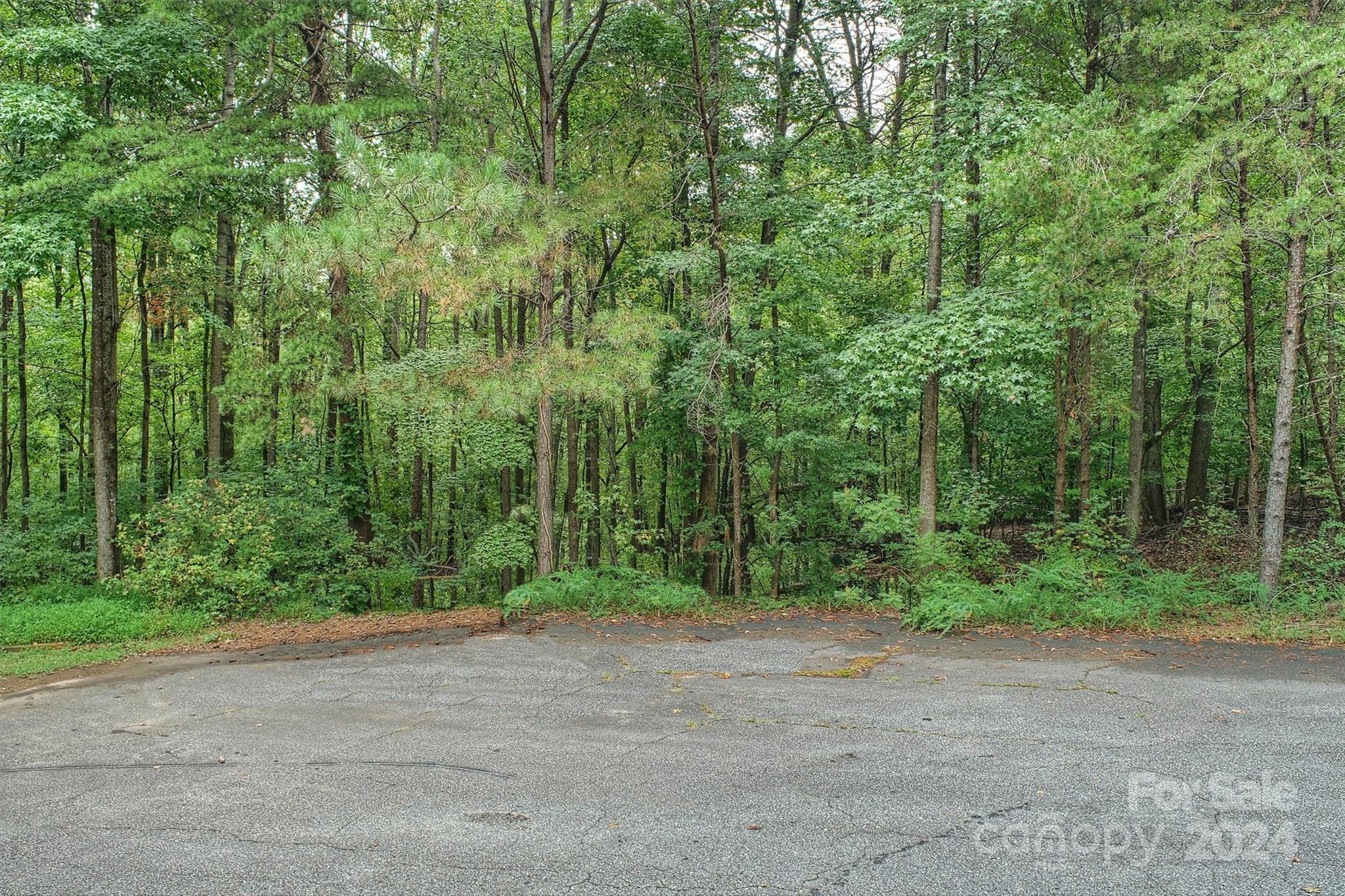 Property image 3 of 105 Ridgebrook Drive in Brookridge Shores, Mooresville, NC 28117