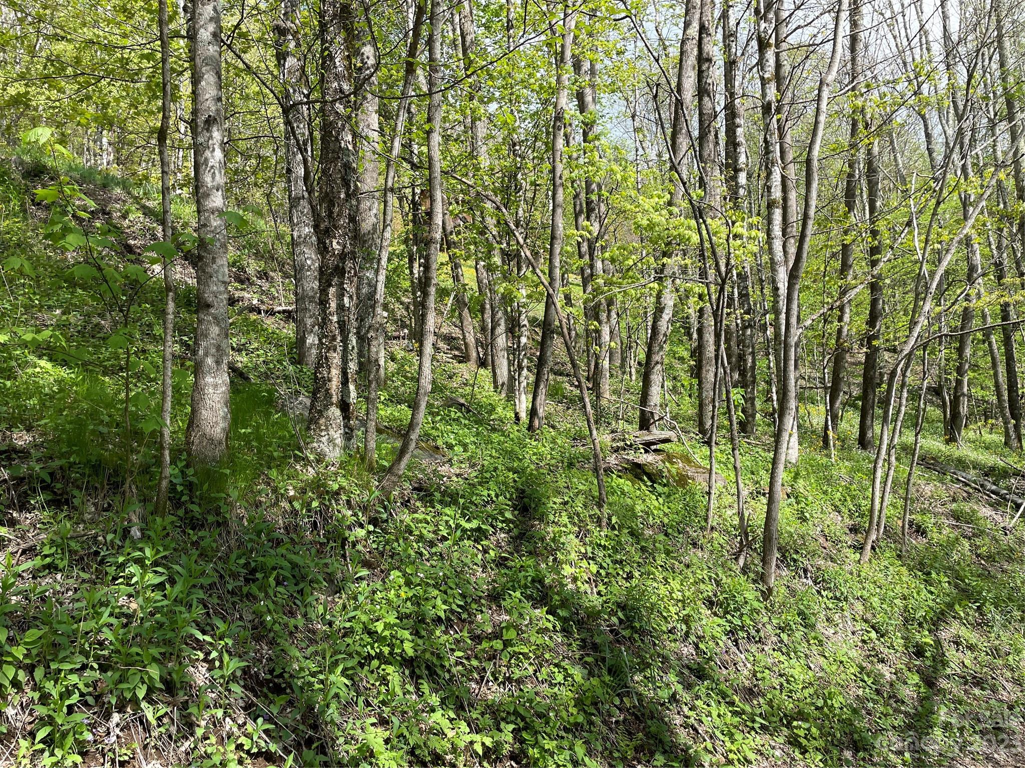Property image 3 of 000 Peregrine Lane in Valley of Roan, Bakersville, NC 28705